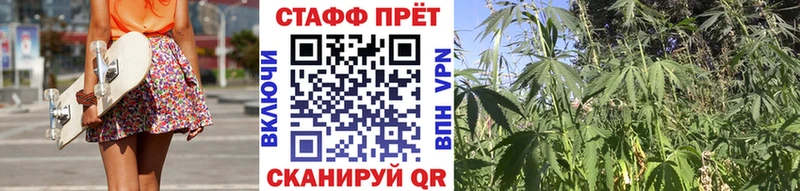 Хочу наркоту Зерноград мега tor  МЕФ  ГАШ  Кокаин  Alpha PVP  Галлюциногенные грибы 