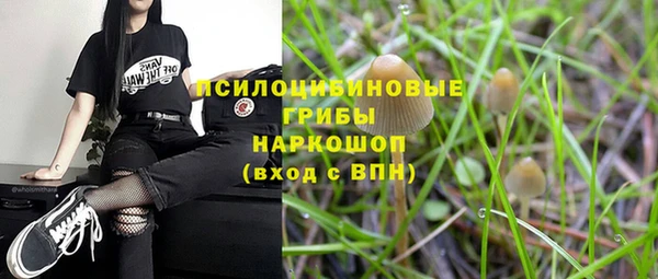 дживик Волоколамск